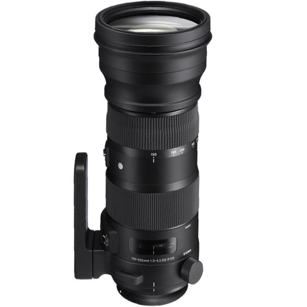 Sigma 150-600mm Sports para Canon